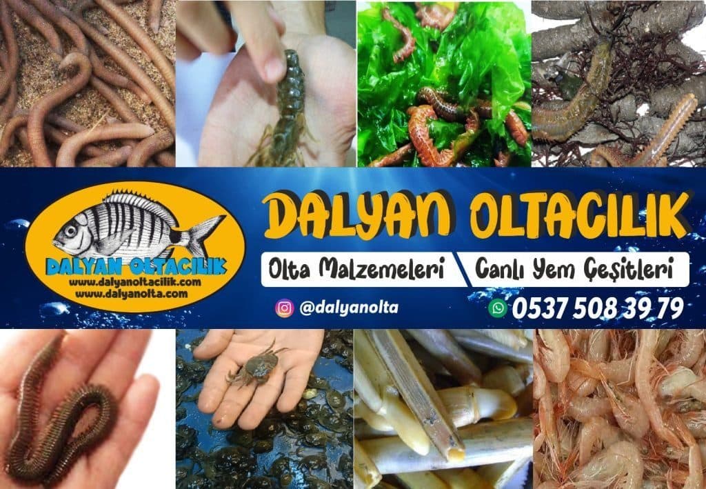 YemSatisMerkezi.com.tr | Canlı Yem, Donuk Yem ve Profesyonel Balıkçılık Malzemeleri